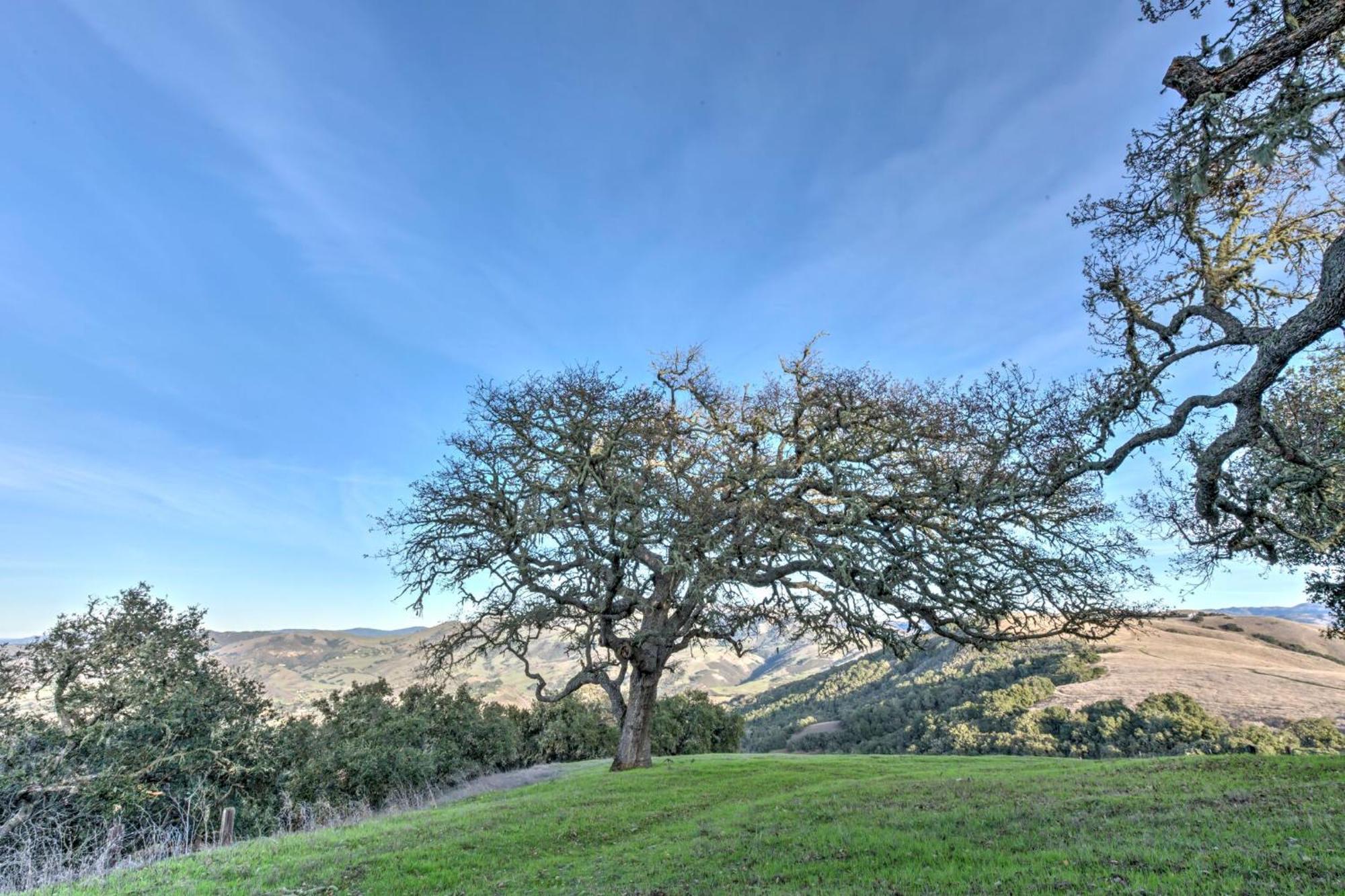 Lx37 Weathertop Ranch In Carmel Wine Country คาร์เมลวัลเลย์ ภายนอก รูปภาพ
