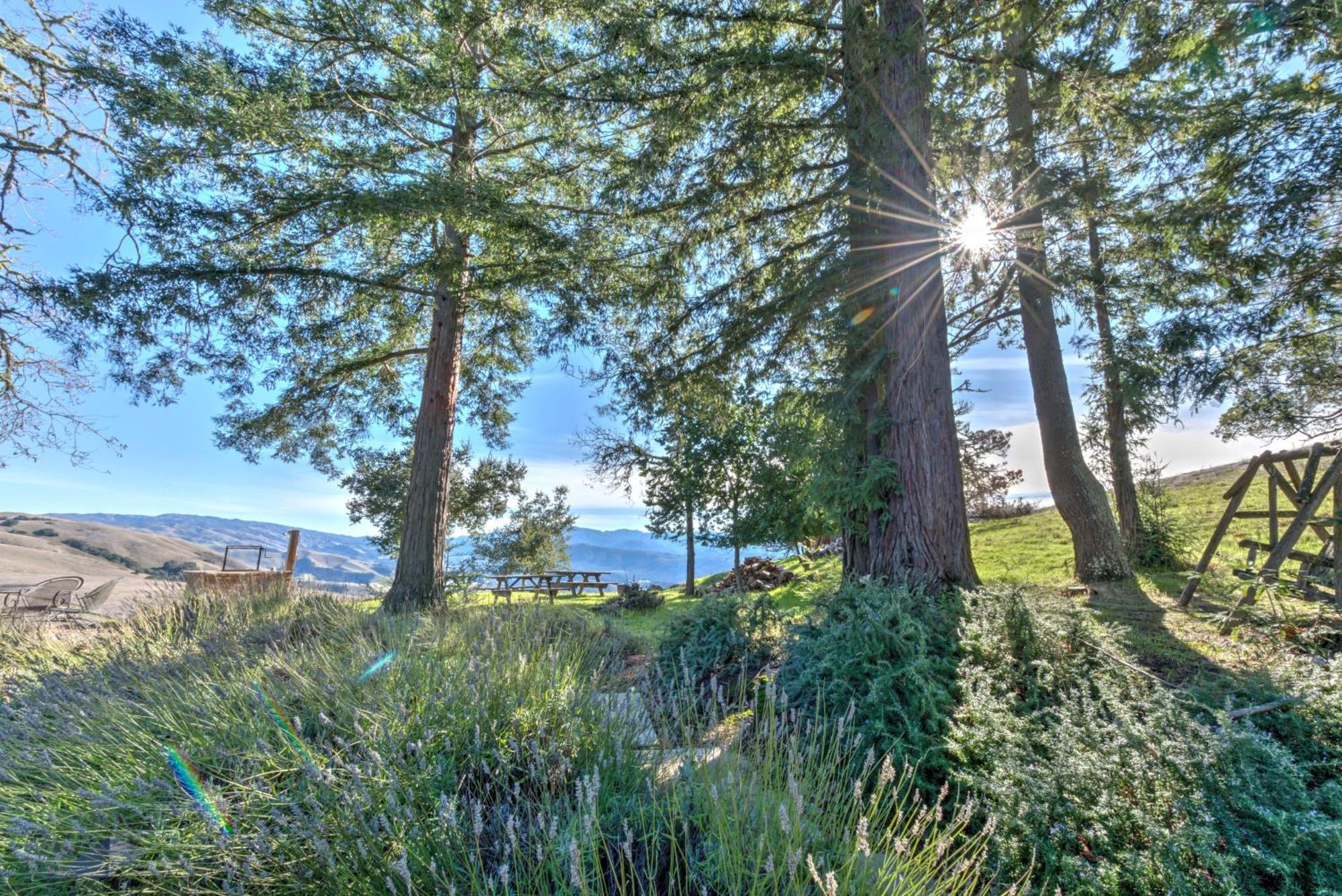 Lx37 Weathertop Ranch In Carmel Wine Country คาร์เมลวัลเลย์ ภายนอก รูปภาพ